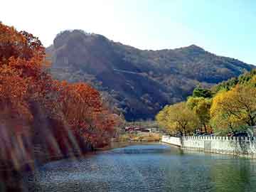 12箱高仿名酒牽出21名嫌疑人,小心虛假的陷阱-響應(yīng)剖析、解釋與落實(shí)